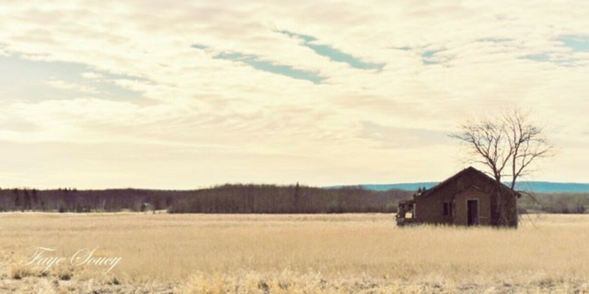Barn in field